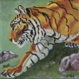 Tiger-in-Color-6x6