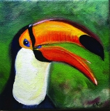 Toucan-6x6